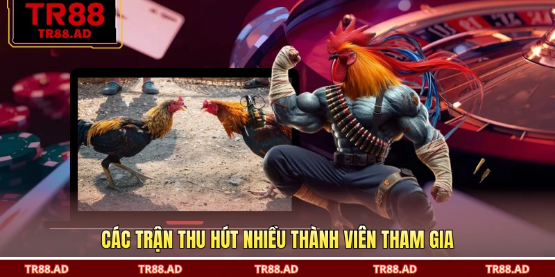 Các trận thu hút nhiều thành viên tham gia