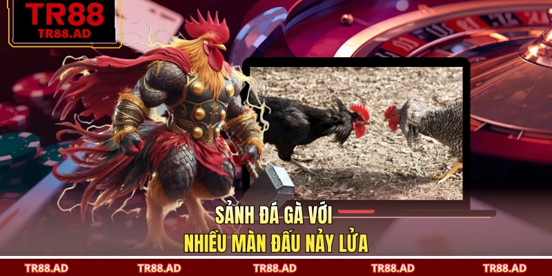 Sảnh đá gà với nhiều màn đấu nảy lửa