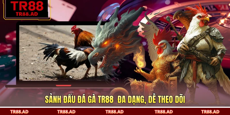 Sảnh đấu đá gà TR88 đa dạng, dễ theo dõi